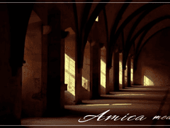 [중혁독자] Amica mea 1