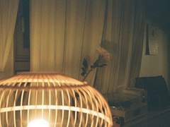 당신을 혜사해요 정말로