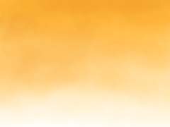 #오렌지 살구빛 00