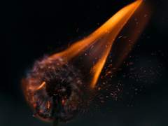 [란지보리] If the world was ending