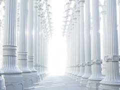 언제나 자유를 갈망하는 천사