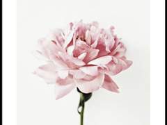 [고죠게토] Liebe ohne Leid