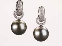 [고죠게토] Rose, rose