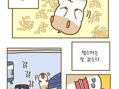 22화 나의 작은 햄스터