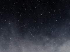 남겨진 나는 결국