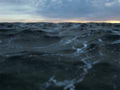 리암노엘/물고기와 나비의 사랑 10