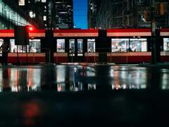 담장 밖을 넘어가는