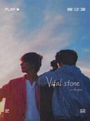 洗惡石(vital stone)