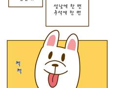 34화 백구의 마음