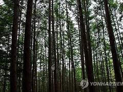 옛날에, 아주 옛날에