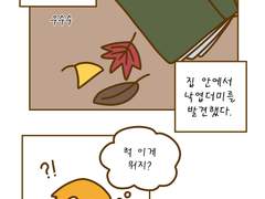 35화 10년 전 가을의 낙엽