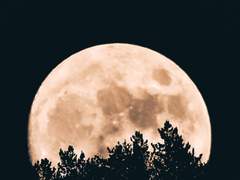 선기령연_밀월蜜月