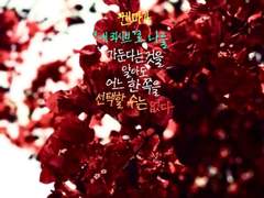 [글씨] 히나타 쇼요