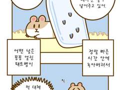 46화 햄스터의 여름나기