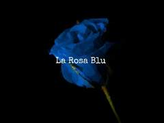 La Rosa Blu G