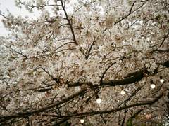 [이음줄] 편지와 그 후