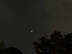 해리포터 단편모음 1