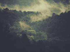 창궁(蒼穹)의 신부