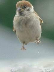 운심부지처에 이릉노조가 나타났다