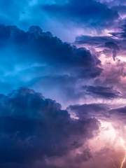 사소한 드림 이야기