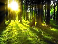 반 년의 시간동안