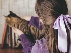 <고양이를 찾습니다> 완결 후기 (스포有)