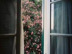 오직 그대만 :다섯번째 계절