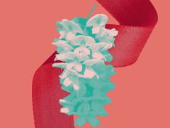 소년이 어른이 되어 01