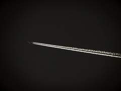 [진궁조조] 이발지기