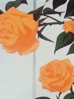 하이큐 팬창작소설