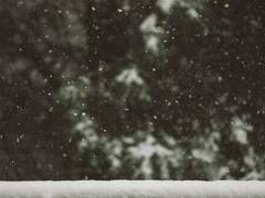 [이한아일] Letter.