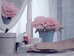 달리아 사용 설명서