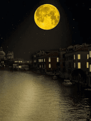 그 학과, 그 선배