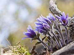 [Hilda Nile/힐다 나일/XX/46/CEO]