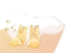 미야여우와 키타