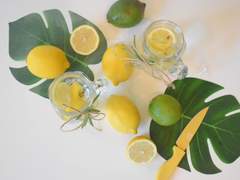 { 아나샤 요루 / 여 / 레몬마들렌 }