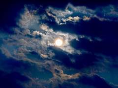 일곱번째 기록.