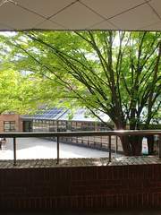 취향의 종말과 예외적 적용