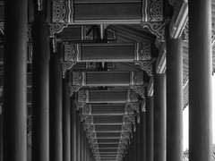 Learn how to quickly convert your color images to black and white using Photoshop