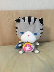 인터뷰 아카이브