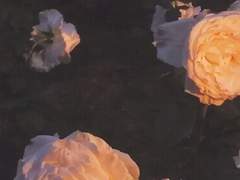 서정적인 소곡(小曲)