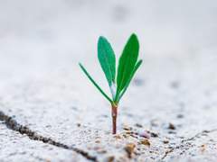 [신조] 사소한 희생의 틈에서 15. (完)