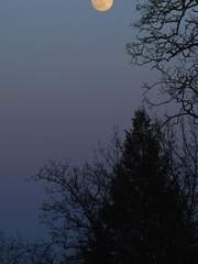 필사 & 독서 메모