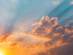 [자헌염리+무선] 사저, 죄송해요.