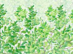 수채화 풀브러시02