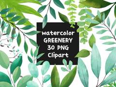 수채화 풀잎 30종PNG + 클튜브러시 6종