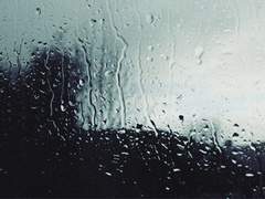 리암노엘/물고기와 나비의 사랑 11