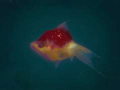 [우석도윤] From H to H