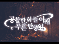 공활한 하늘 아래 푸른 단풍잎