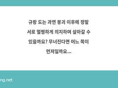 [규혁/도윤] 붕괴 이전/이후 상호 관계성
